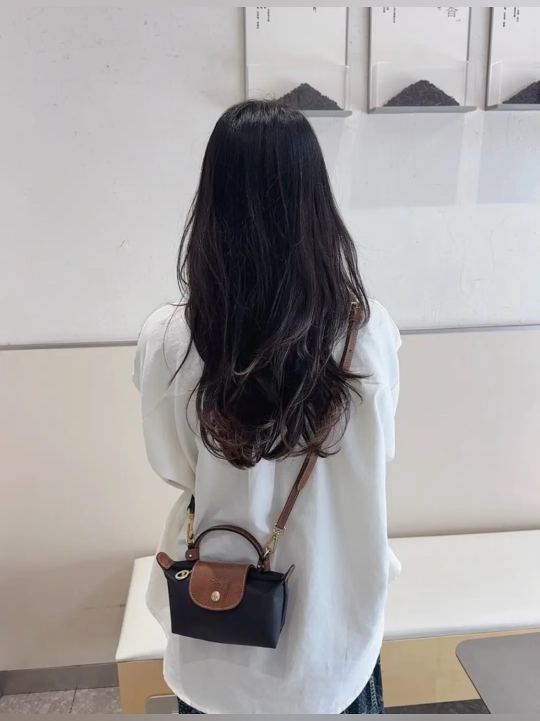 Le Pliage Original Classic Mini Pouch Black Color Cosmetics Case With Strap